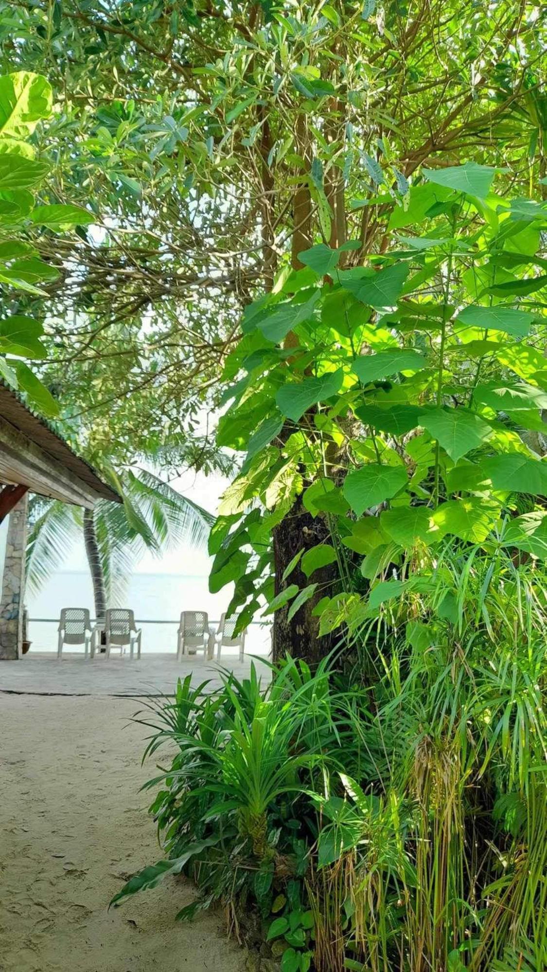 Beer'S House Bungalows เบียร์เฮ้าส์บังกะโล Ban Lamai Exterior photo